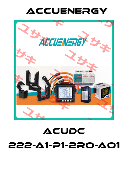 AcuDC 222-A1-P1-2RO-AO1  Accuenergy