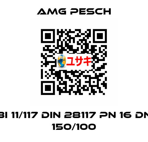 BI 11/117 DIN 28117 PN 16 DN 150/100 AMG Pesch