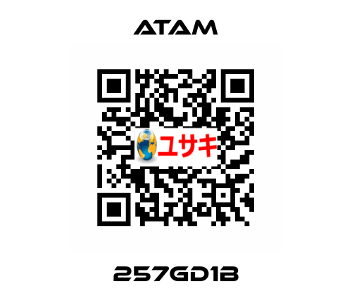 257GD1B ATAM
