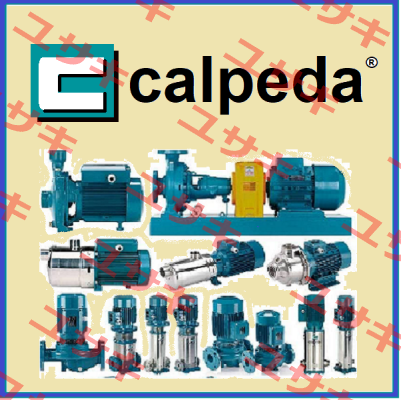 45C13610000 Calpeda