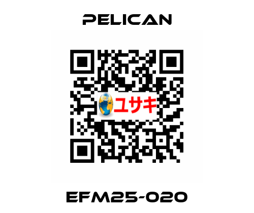 EFM25-020 Pelican