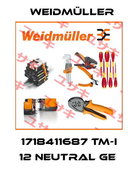 1718411687 TM-I 12 NEUTRAL GE  Weidmüller