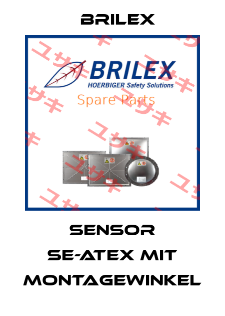 Sensor SE-ATEX mit Montagewinkel Brilex
