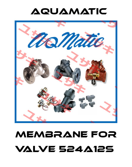 membrane for valve 524a12s  AquaMatic