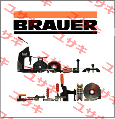 P-250 obsolete/replacement 254-793  Brauer