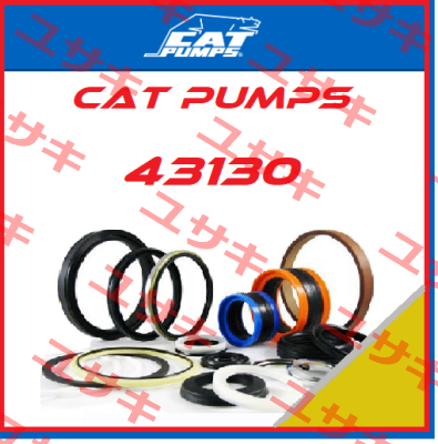 43130 Cat Pumps