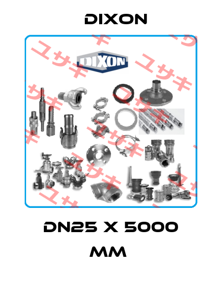 DN25 x 5000 mm  Dixon