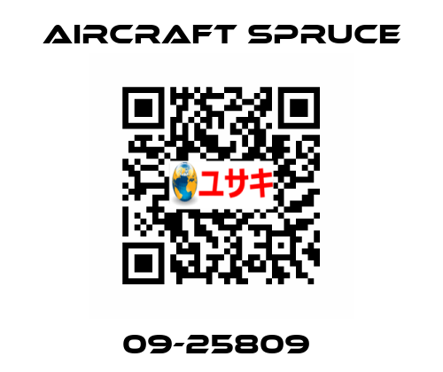 09-25809  Aircraft Spruce