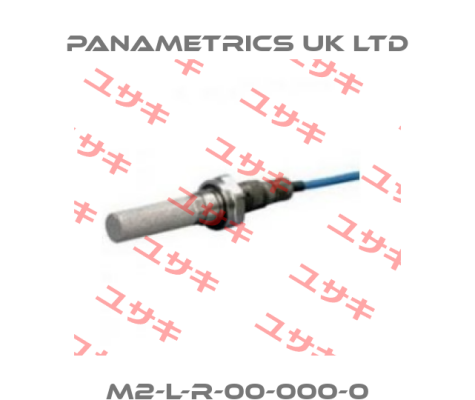 M2-L-R-00-000-0 PANAMETRICS UK LTD