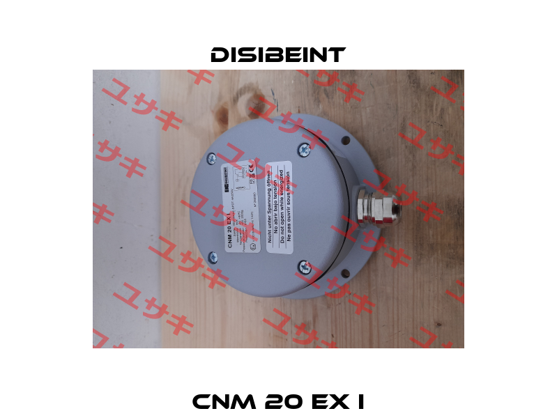 CNM 20 EX I Disibeint
