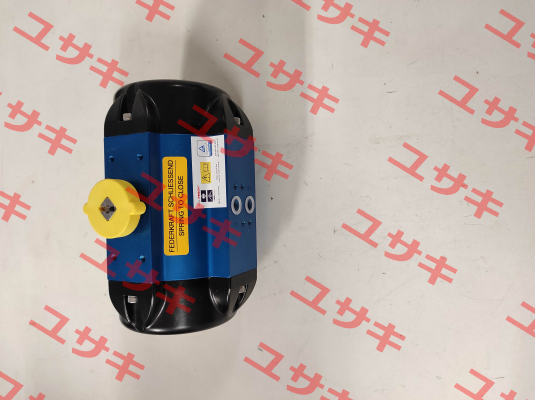 BR03-SAF / 166705 AMG Pesch