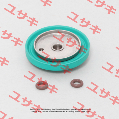 VMEMG2S32XX43015/C End Armaturen