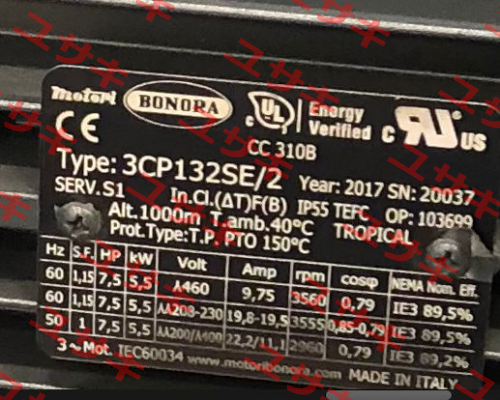 4051+0099 Bonora