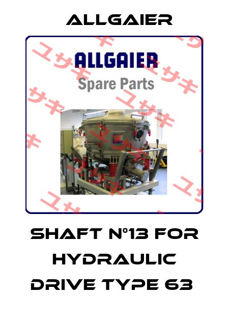 SHAFT N°13 for hydraulic drive type 63  Allgaier