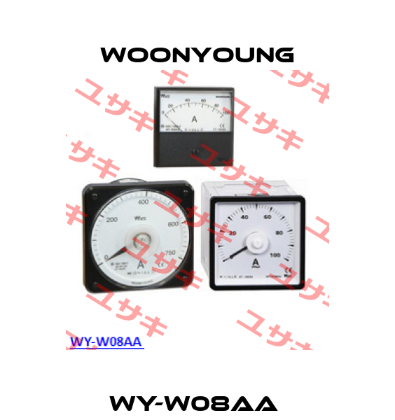 WY-W08AA  WOONYOUNG