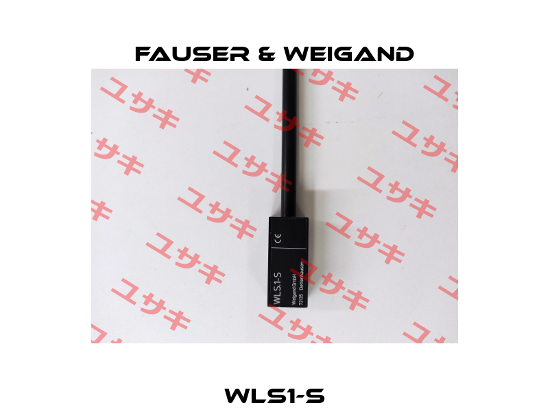 WLS1-S Fauser & Weigand