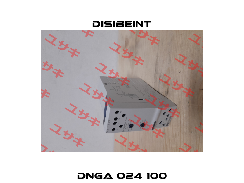 DNGA 024 100 Disibeint