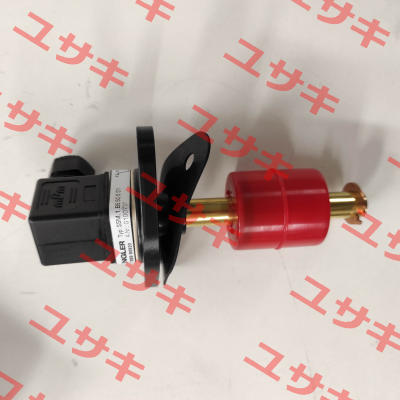 SSM.1.B5.50.5.S1, G100737 Engler