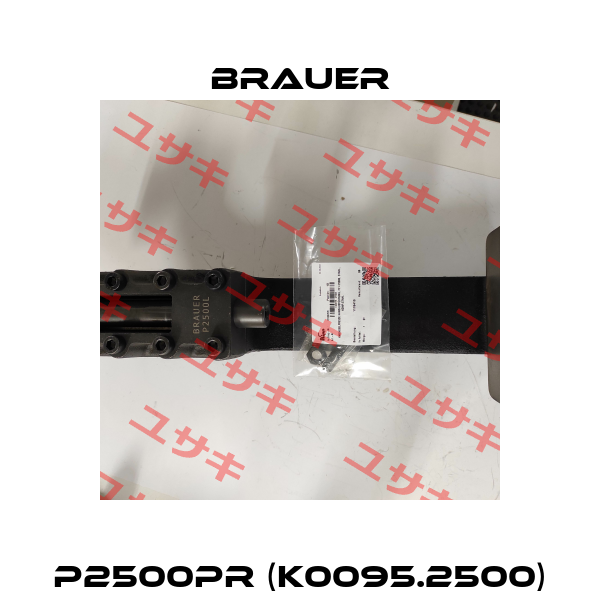 P2500PR (K0095.2500) Brauer