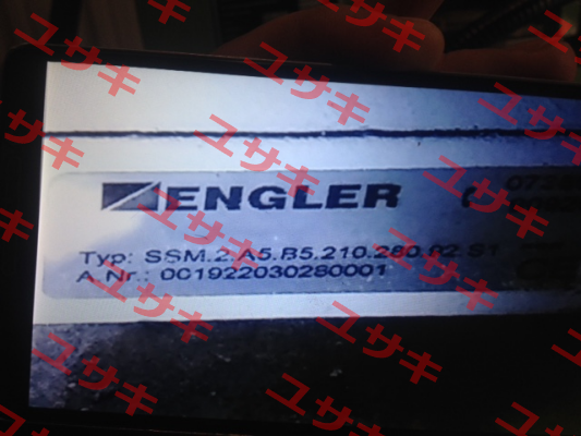 SSM.2.A5.B5.210.280.92.S1 Engler